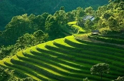 Câu chuyện cậu bé họ Huỳnh ở Uông Bí và hành trình đổi đời cùng Hotspot Matrix_chỉnh sửa chỉnh sửa video trên điện thoại