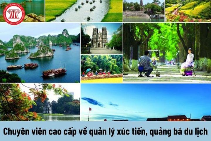 Chuyên gia Hotspot Matrix phân tích: Hé lộ hậu trường siêu nhạc và marketing video