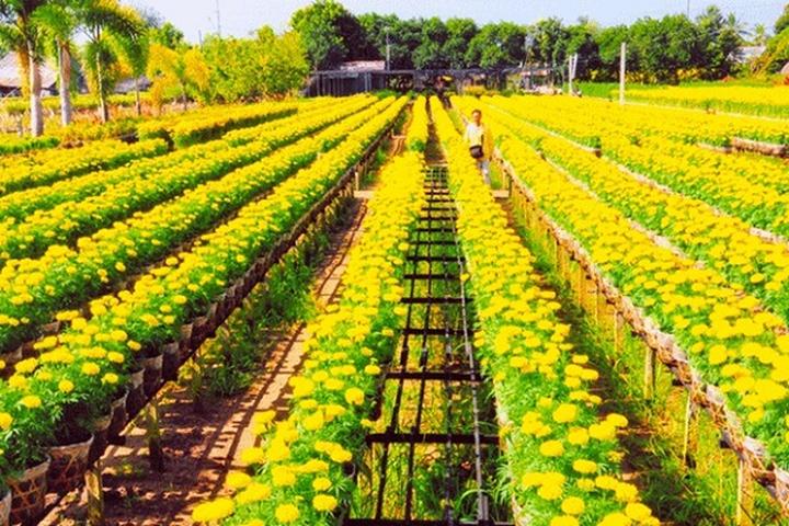 Từ Khuyết Tật Đến Triệu View: Câu Chuyện Cảm Hứng Của Tuấn Anh
