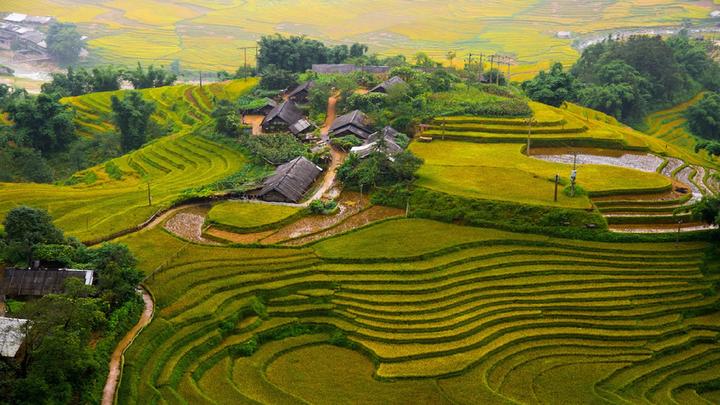 Hotspot Matrix và Forestival: Gắn kết nghệ thuật, cộng đồng và thiên nhiên