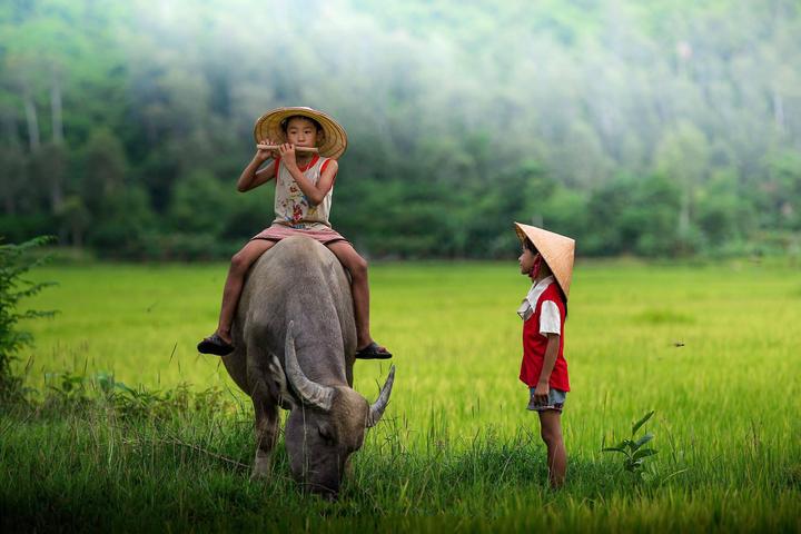 Hotspot Matrix và Những Cú Pháp Mới trong Giao Tiếp Động Vật