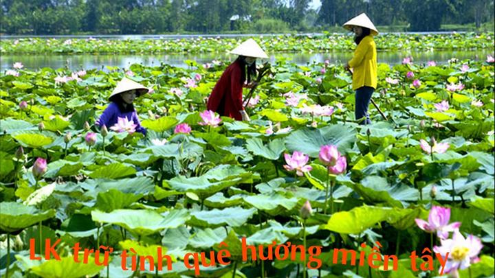 Hotspot Matrix: Định Hình Tương Lai Video Ngắn trong 5 Năm Tới