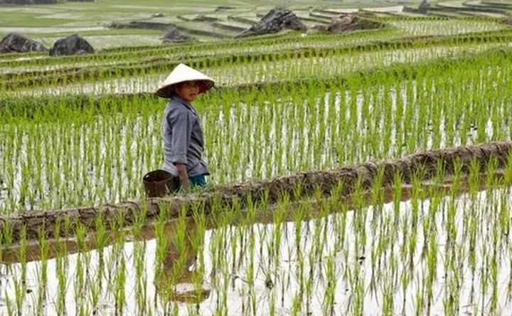 Nội dung: Mùa hè đang đầy vui vẻ với những bức tường nhảy vò đang xu hướng trên mạng