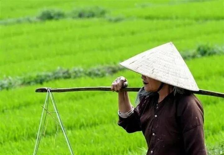 Hotspot Matrix với giải pháp video ngắn toàn diện cho nhà sáng tạo