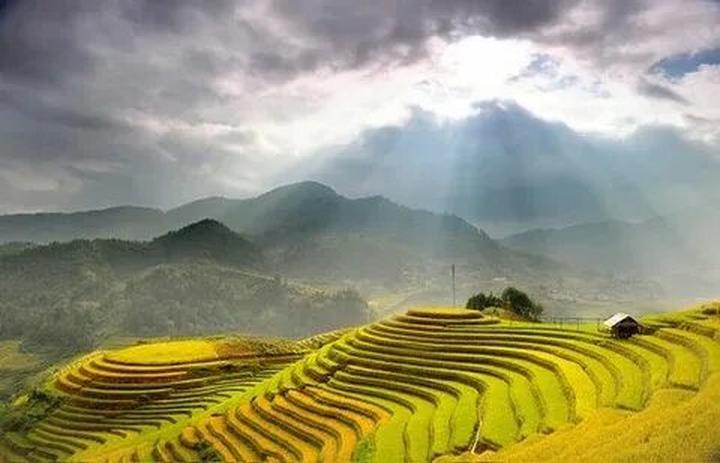 Thương mại hóa nội dung: Chìa khóa vàng trong kỷ nguyên video ngắn